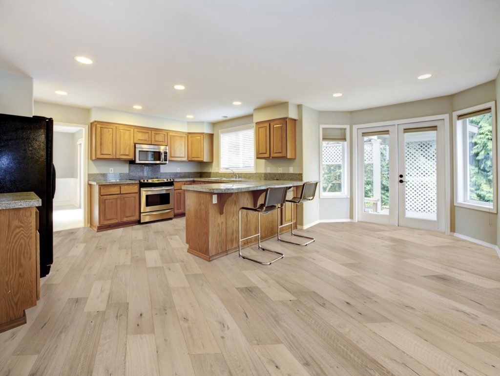 Hardwood Horizon Forest