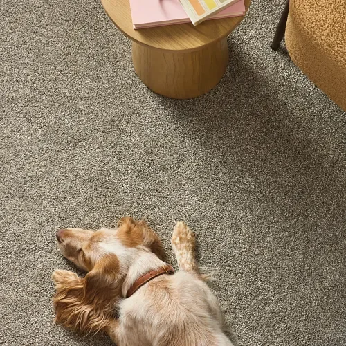 ShawFloors Blended Touch