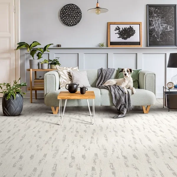 Shaw floors Tranquil Spirit