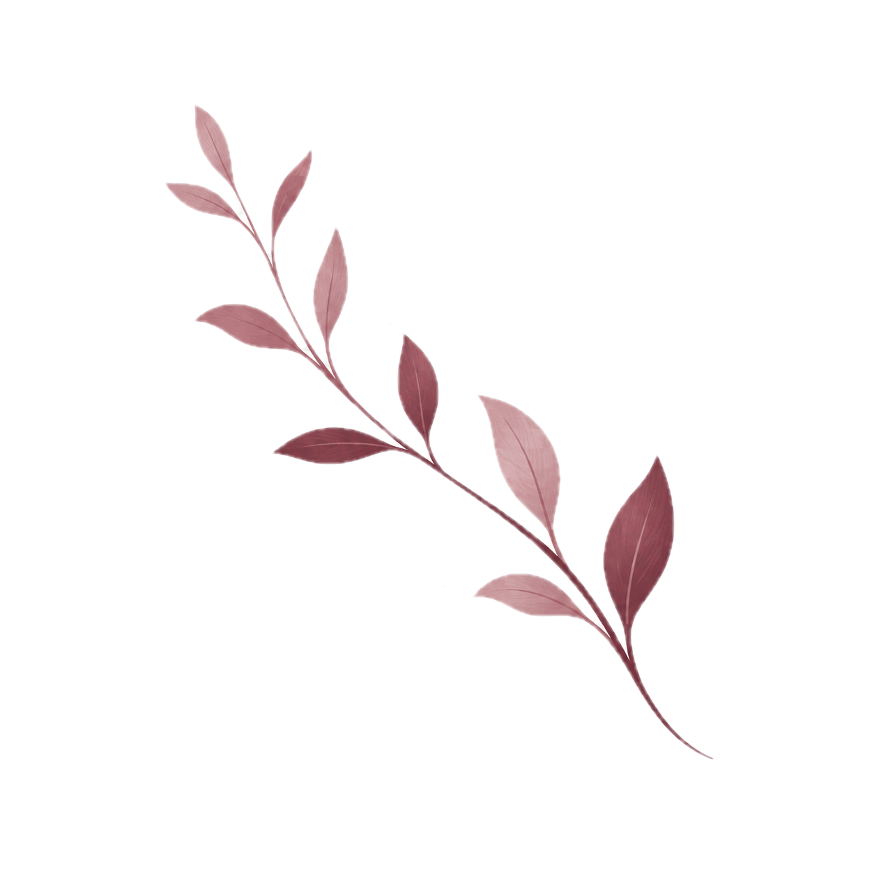 A decorative, pinkish-brown branch with elongated leaves, diagonally placed on a black and white background.
