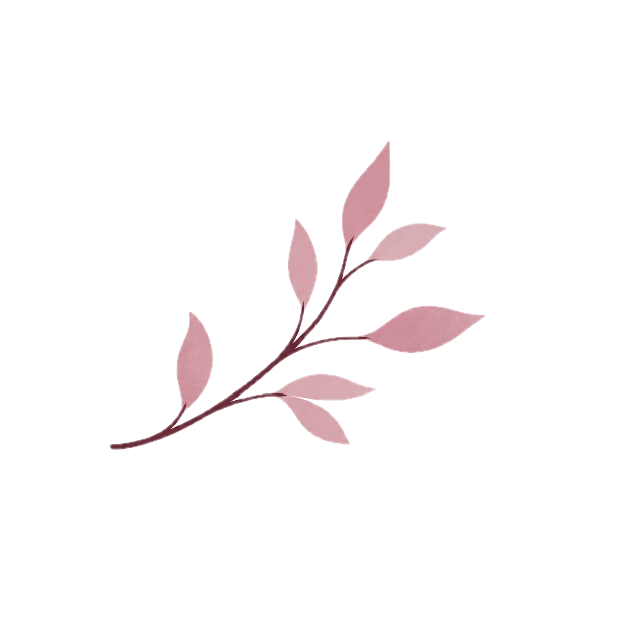 A minimalist illustration of a branch with pink leaves on a black and white background.