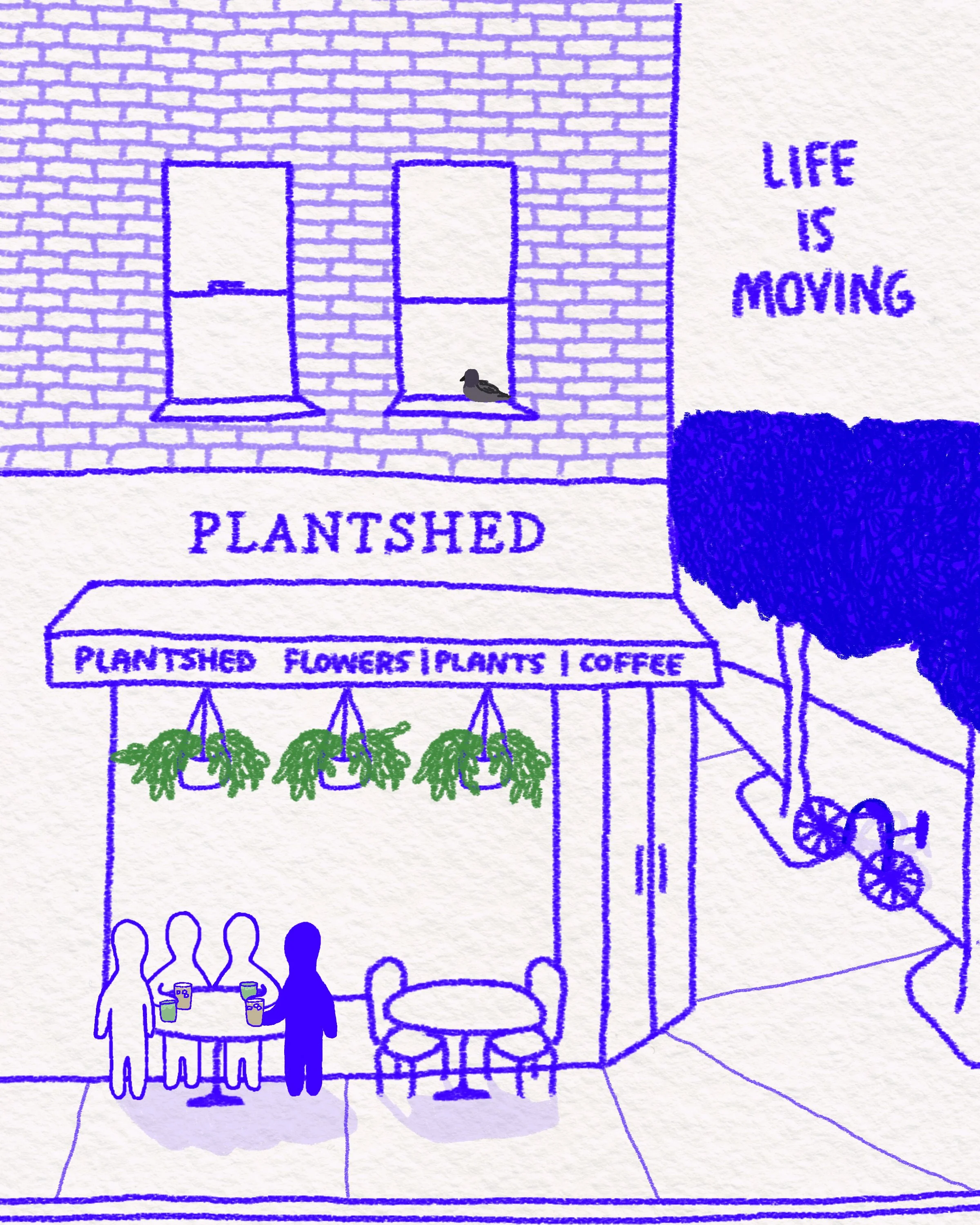 Sydney - Plantshed - JPG 8x10 300dpi.jpg