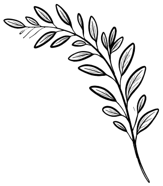 Black and white illustration of a leafy branch with elongated oval leaves.