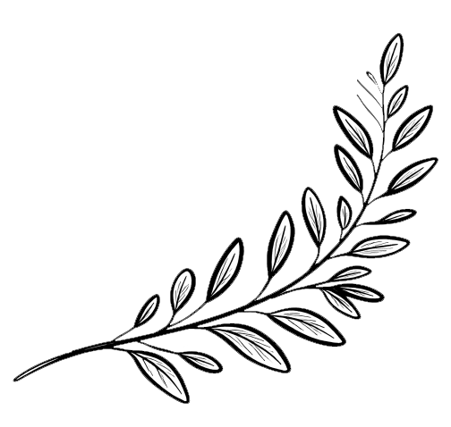 Black and white illustration of a leafy branch with elongated oval leaves.