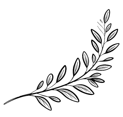 A black and white illustration of a laurel branch with elongated leaves.