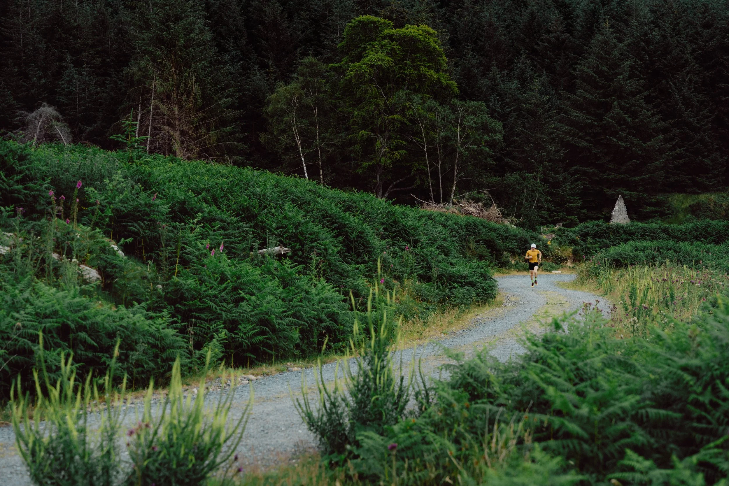 Matt Riedel - Matt McConnell, Mountain Runner Co. Wicklow-9.jpg