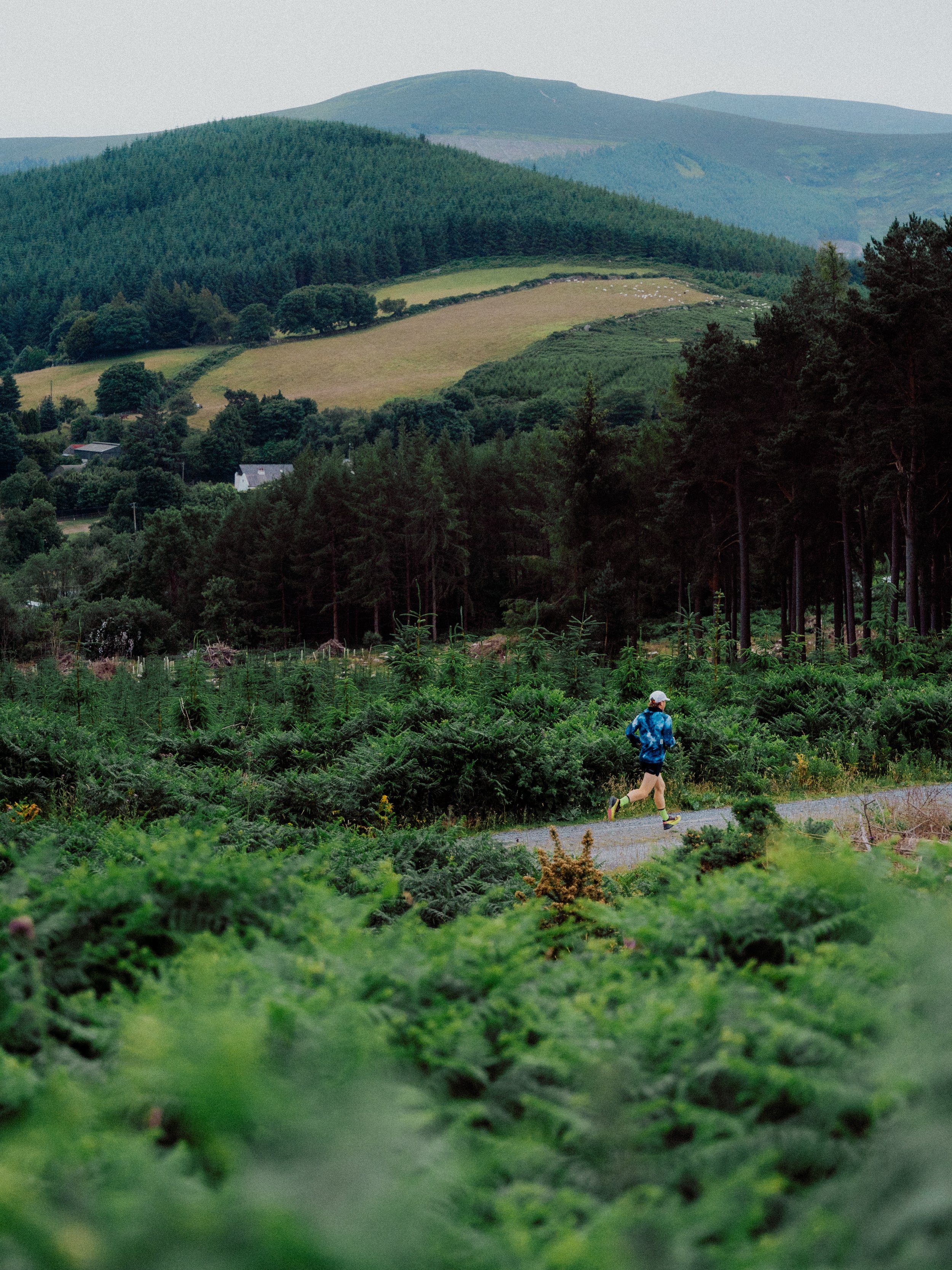 Matt Riedel - Matt McConnell, Mountain Runner Co. Wicklow-14.jpg