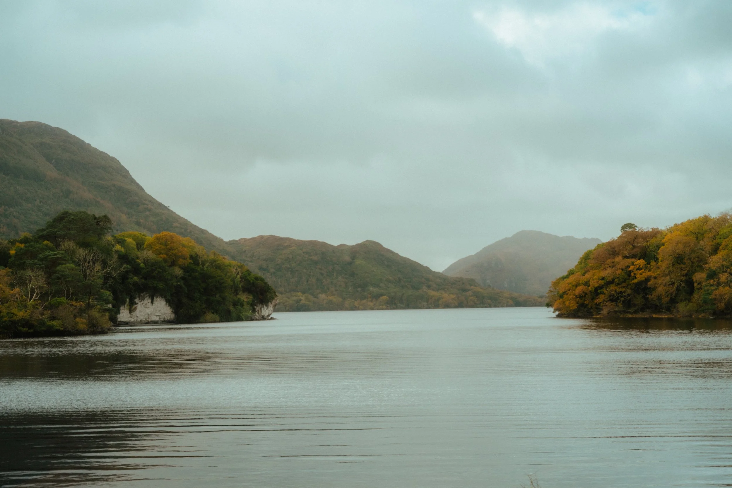 Matt Riedel - Killarney - 1.jpg