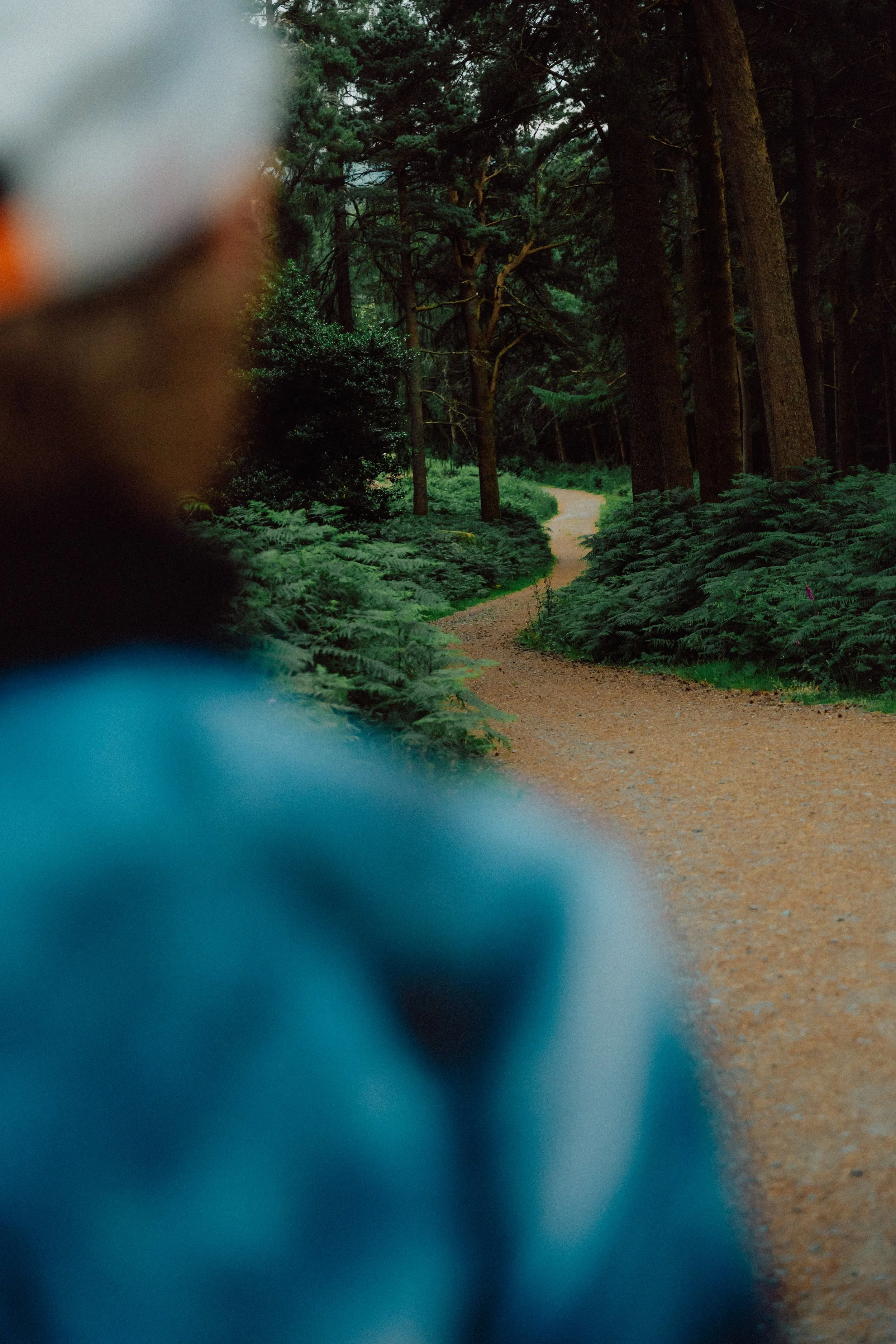 Matt Riedel - Matt McConnell, Mountain Runner Co. Wicklow-16.jpg