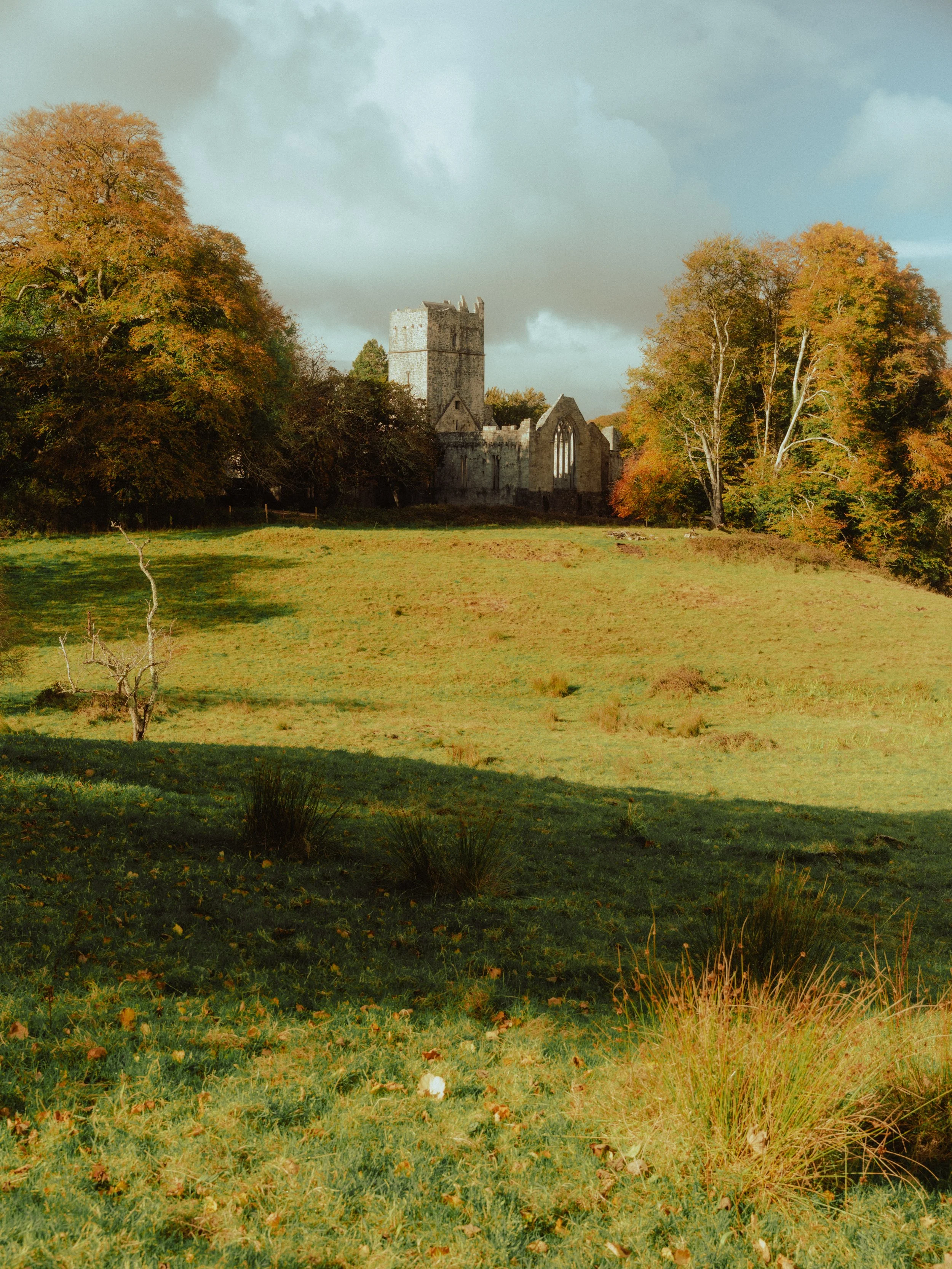 Matt Riedel - Killarney - 14.jpg
