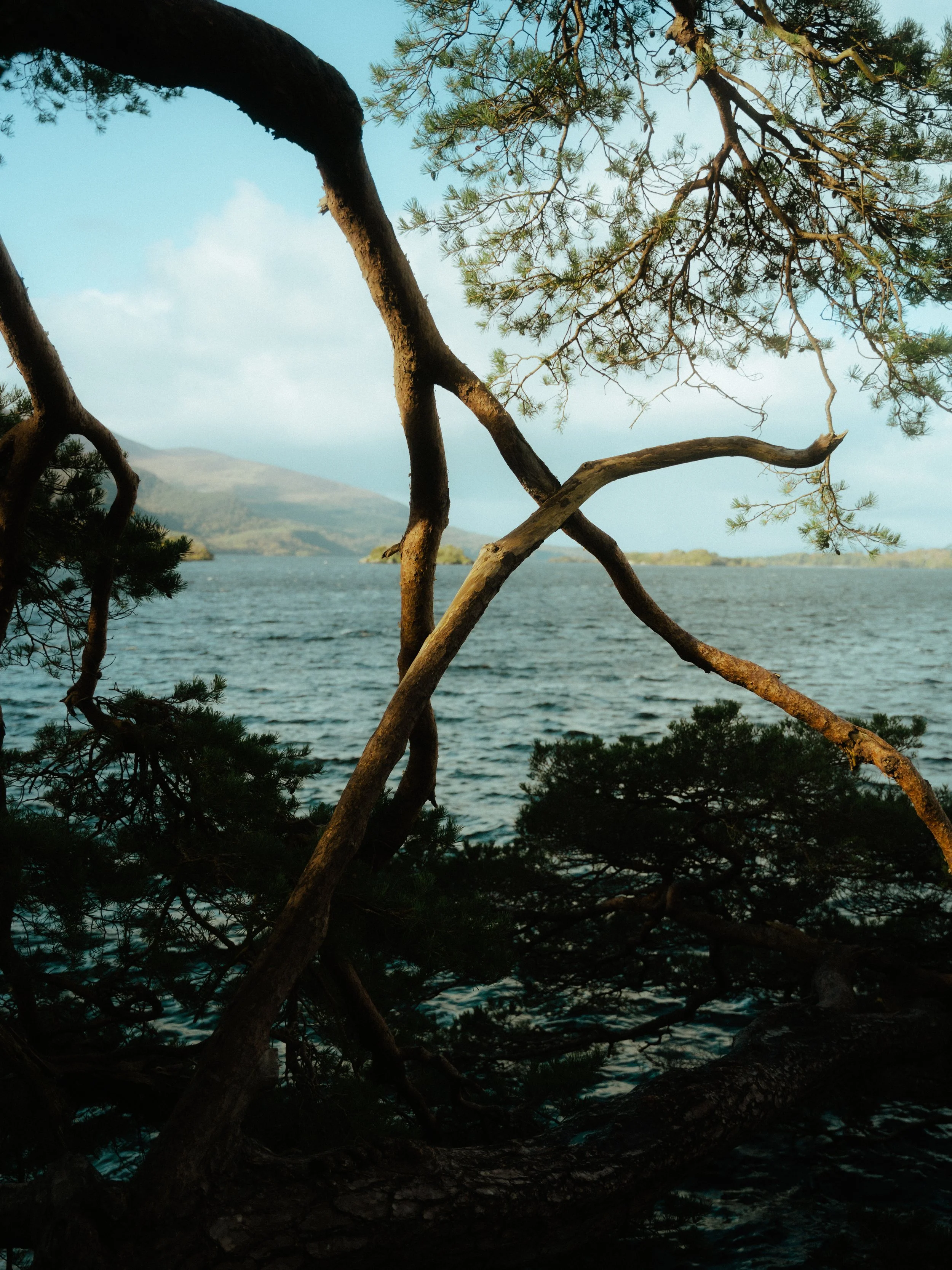 Matt Riedel - Killarney - 3.jpg