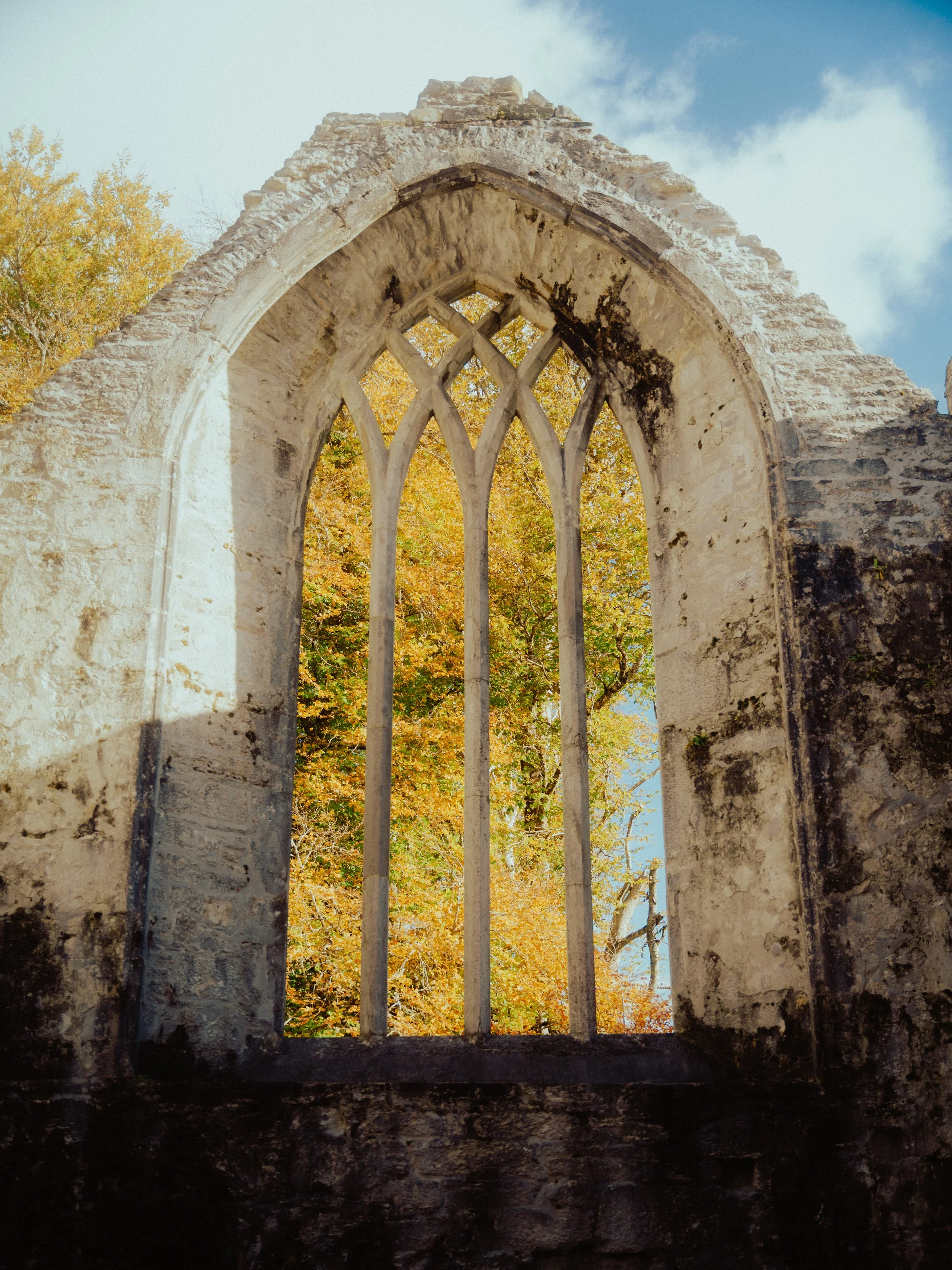 Matt Riedel - Killarney - 10.jpg