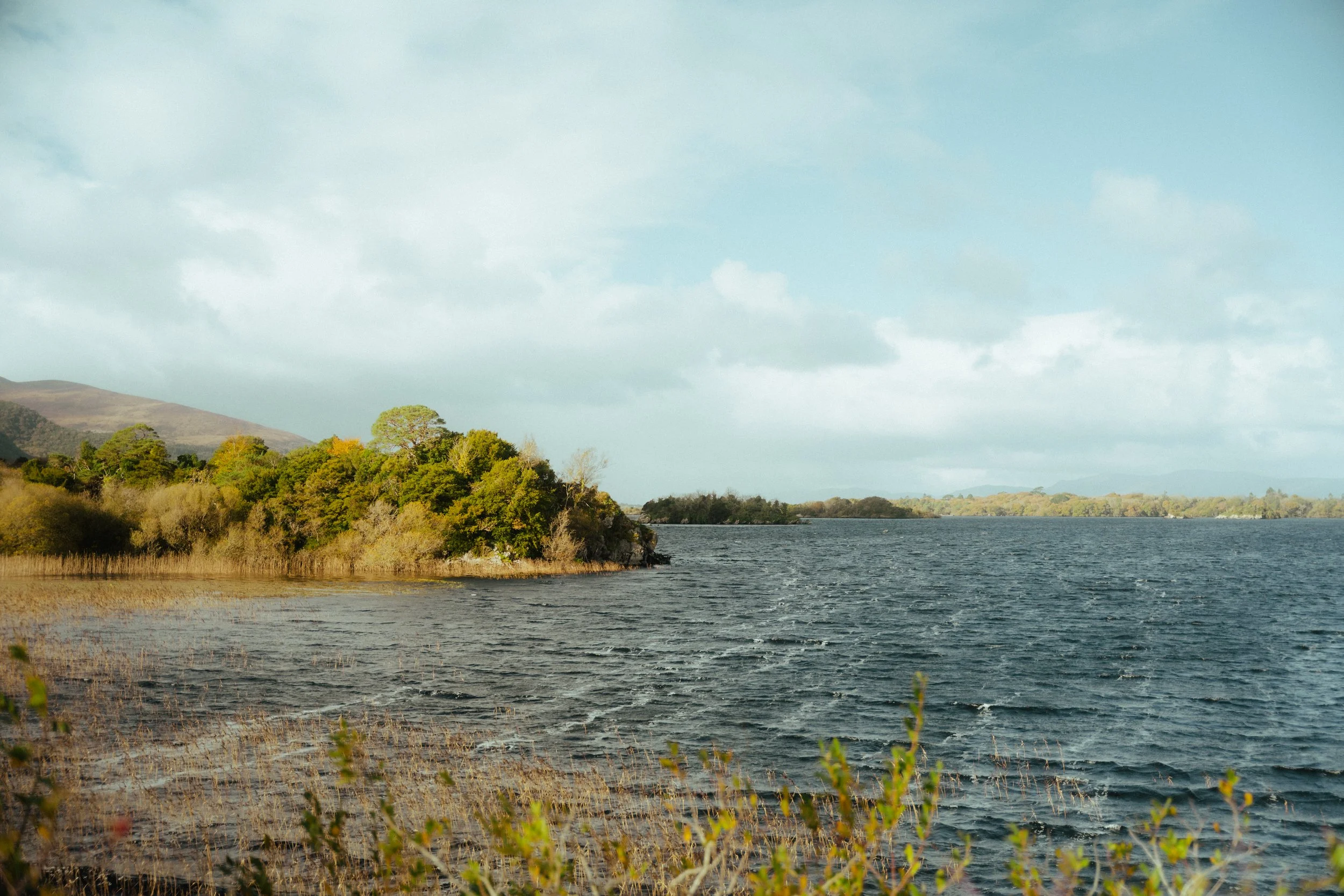 Matt Riedel - Killarney - 2.jpg
