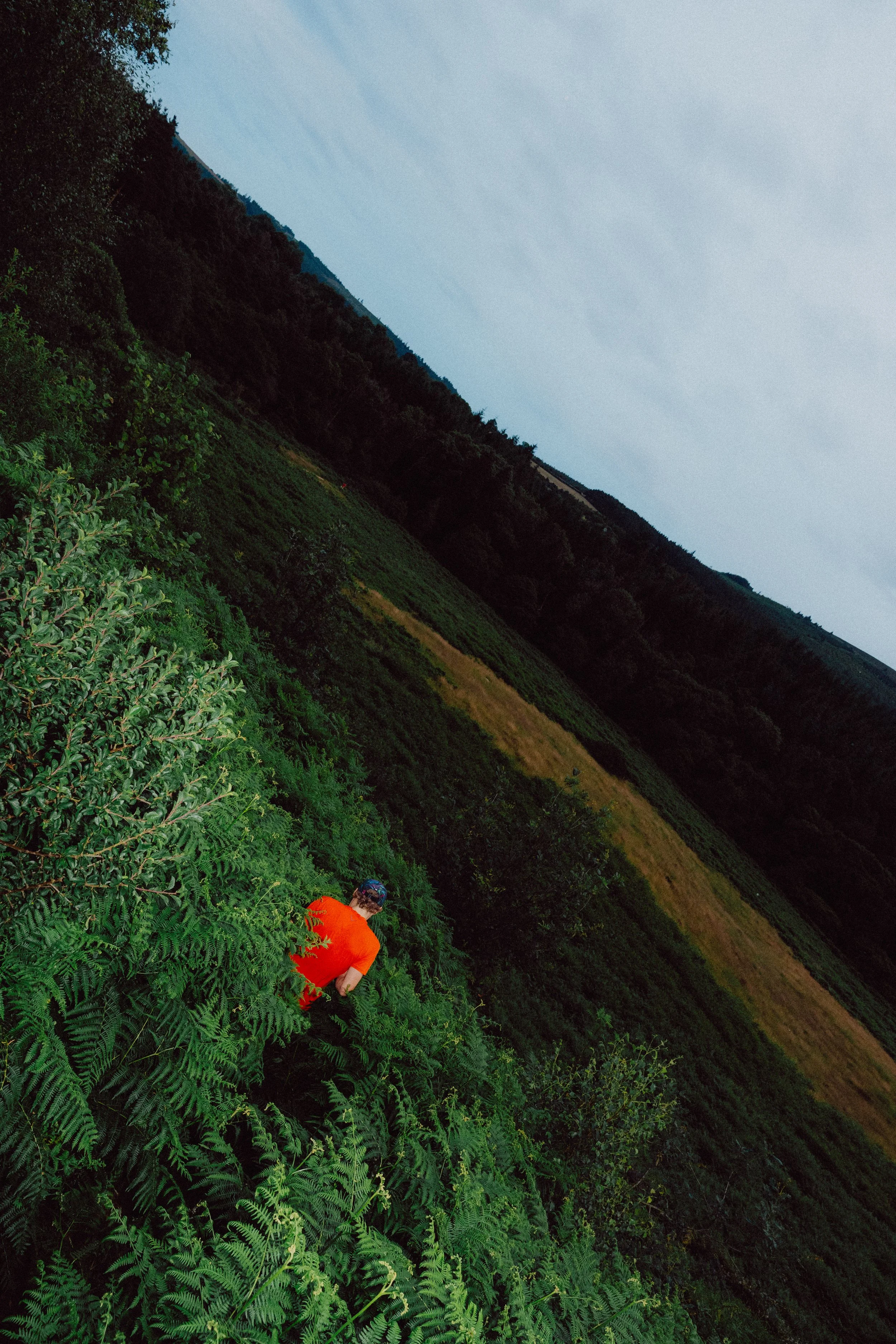 Matt Riedel - Matt McConnell, Mountain Runner Co. Wicklow-41.jpg