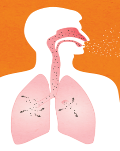 Illustration of a human head and lungs showing inhalation and exhalation, with particles representing breath flowing in and out.