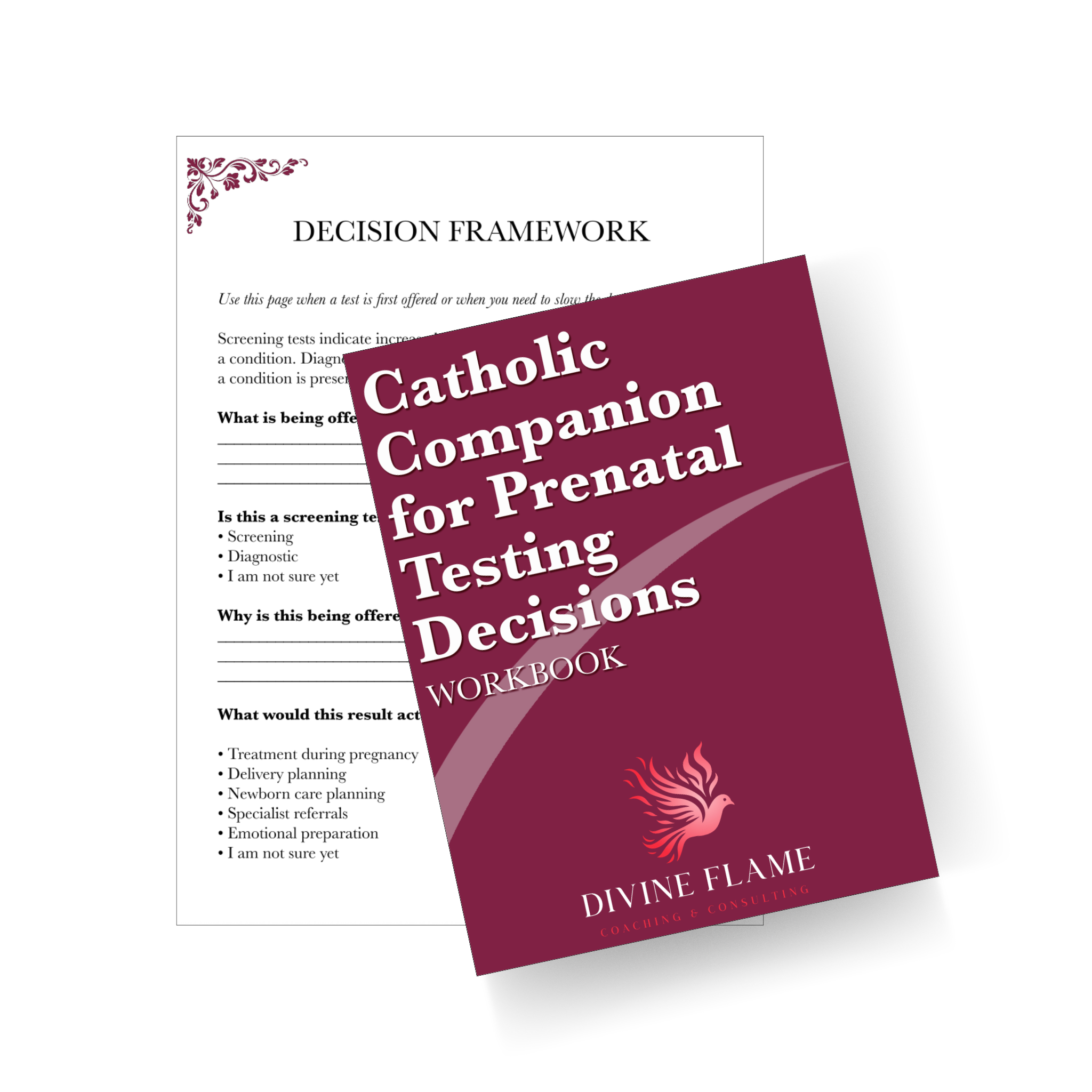 Catholic Companion for Prenatal Testing Decisions Workbook