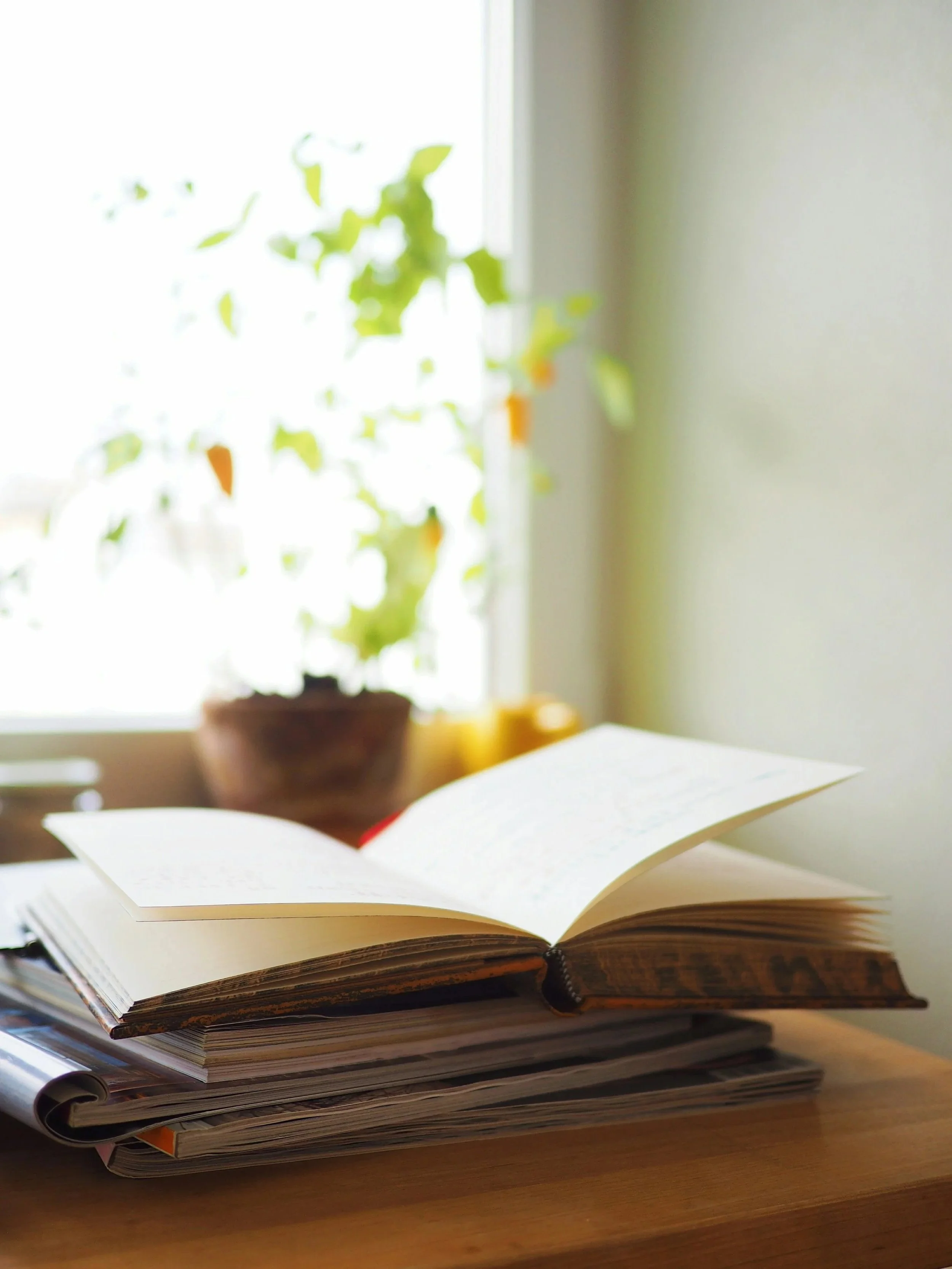 Open book resting on a stack of magazines or papers on a wooden surface, with a blurred window and potted plant in the background.