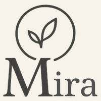 Mira Movement Pilates in Charlotte NC, by Andrea Moreno.