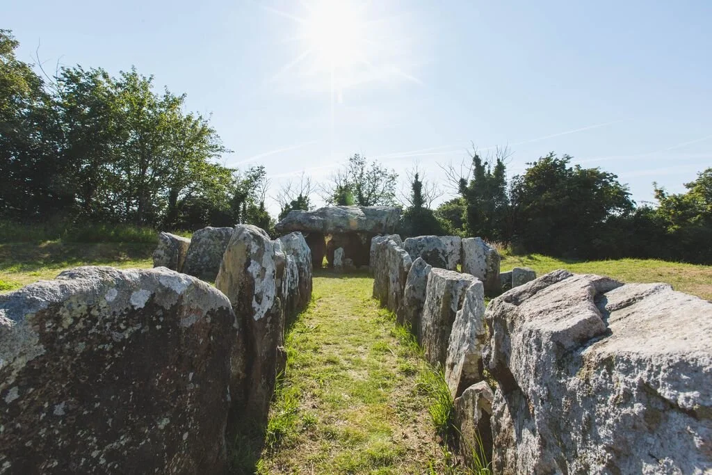 A line of large ancient stones forming a passageway, with some arranged in a circular formation at the end, set in a grassy outdoor area with trees and bushes under a clear sunny sky.