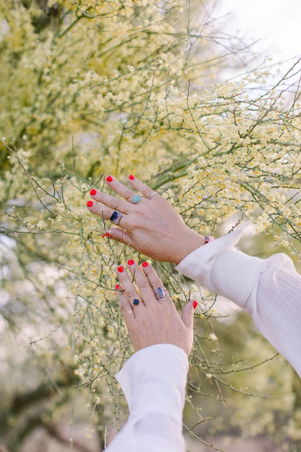Tarot, Oracle & Astrological Archetyping Session with Seema Jot Kaur