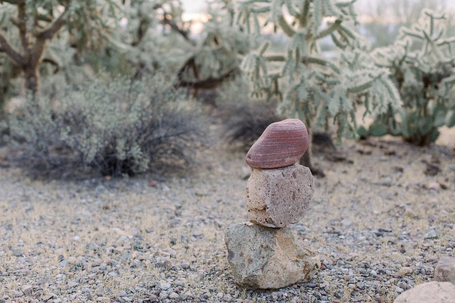 Stacked rocks in a desert landscape with cacti and scrubby vegetation in the background.