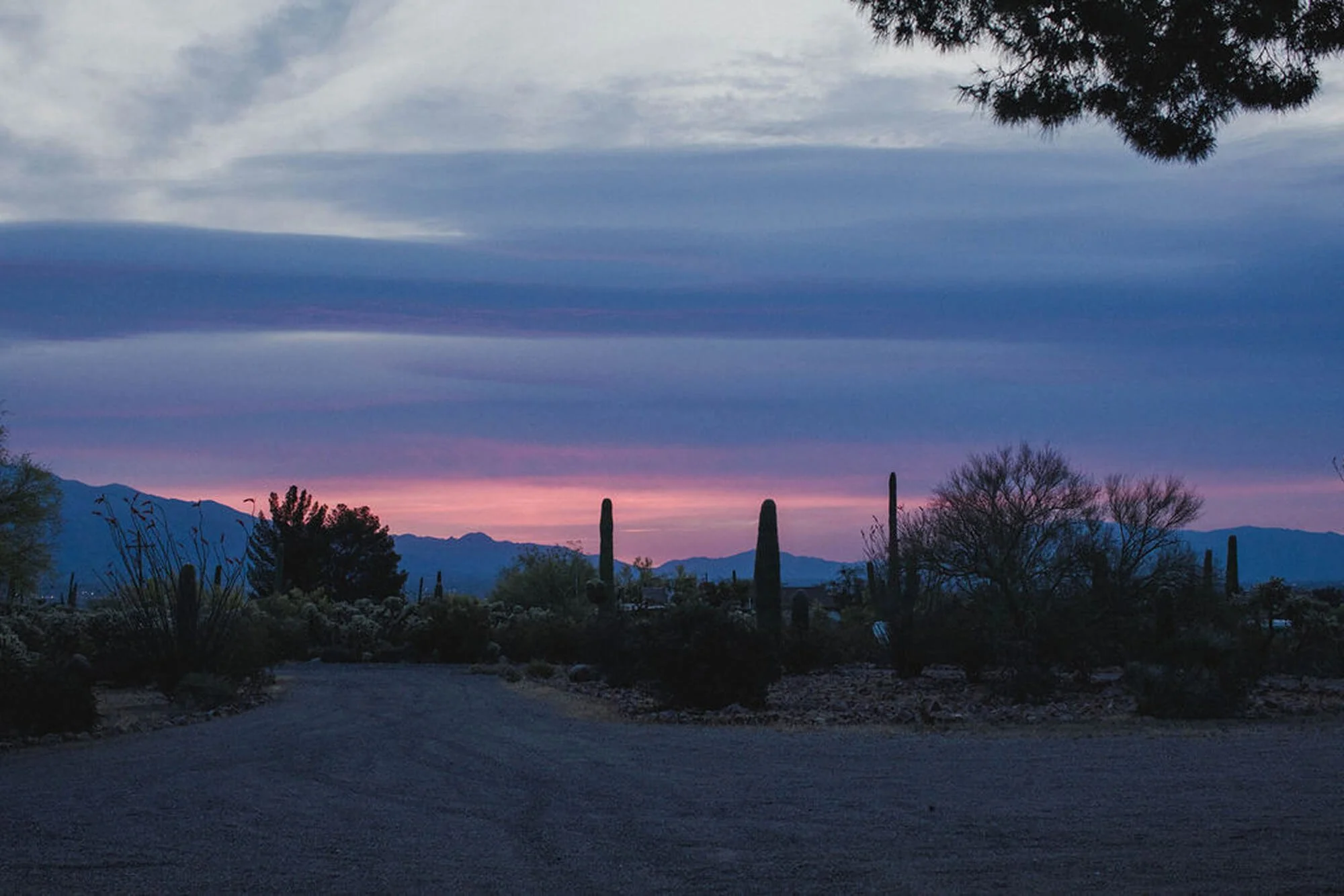 A desert landscape at dusk with a colorful sky, silhouettes of mountains in the background, and desert plants including cacti in the foreground.