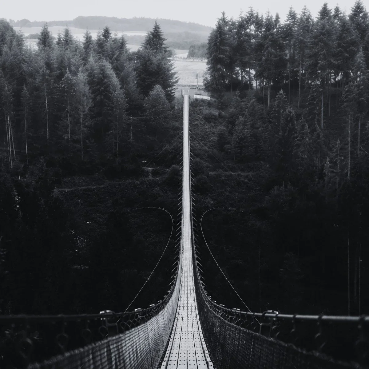 The Role of Therapeutic Counseling in Academic Success: Bridging the Gap Between Mental Health and Education