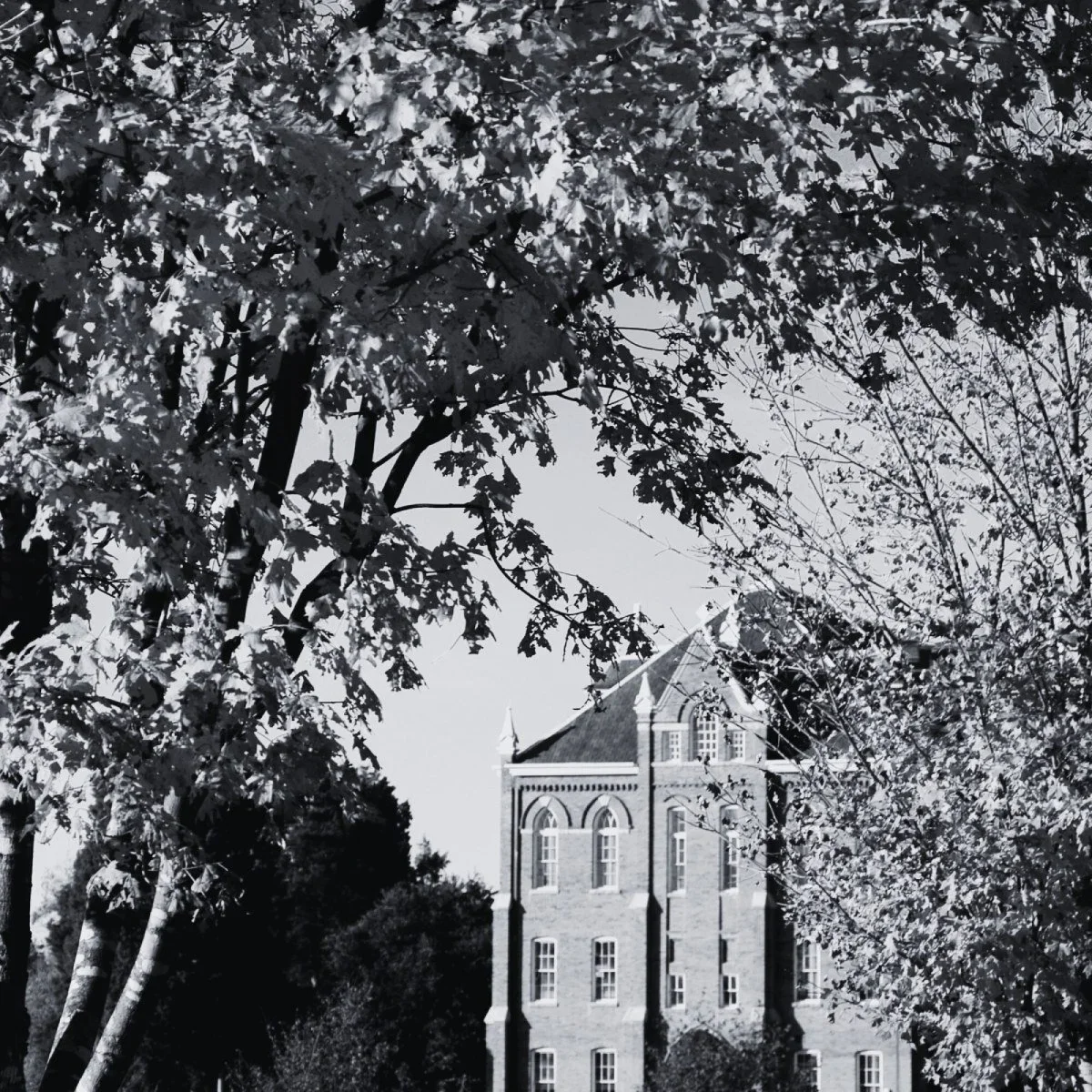 Navigating the Return to College: Building Resilience and Routine for a Successful Semester