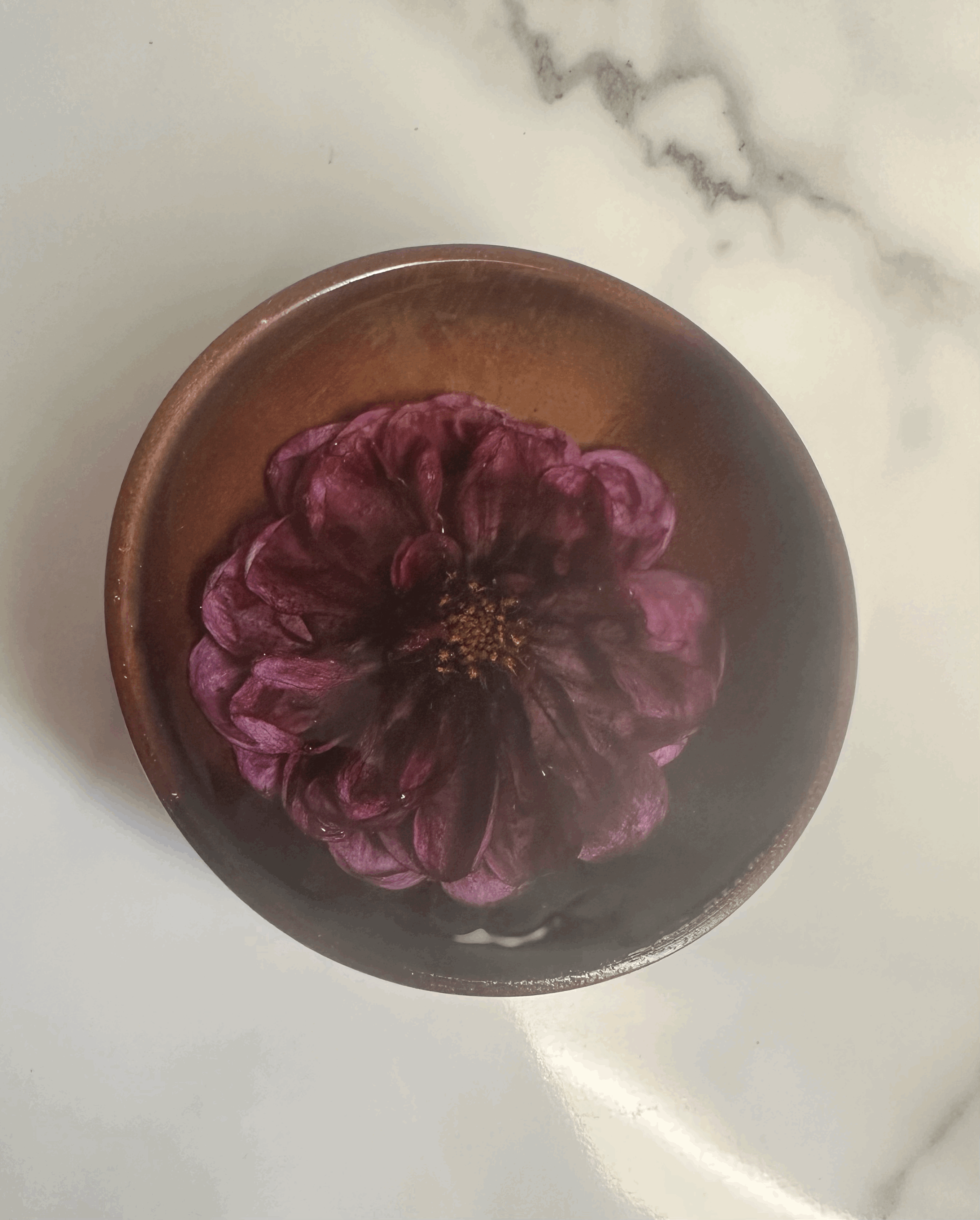 tempImageO4nlce.gif