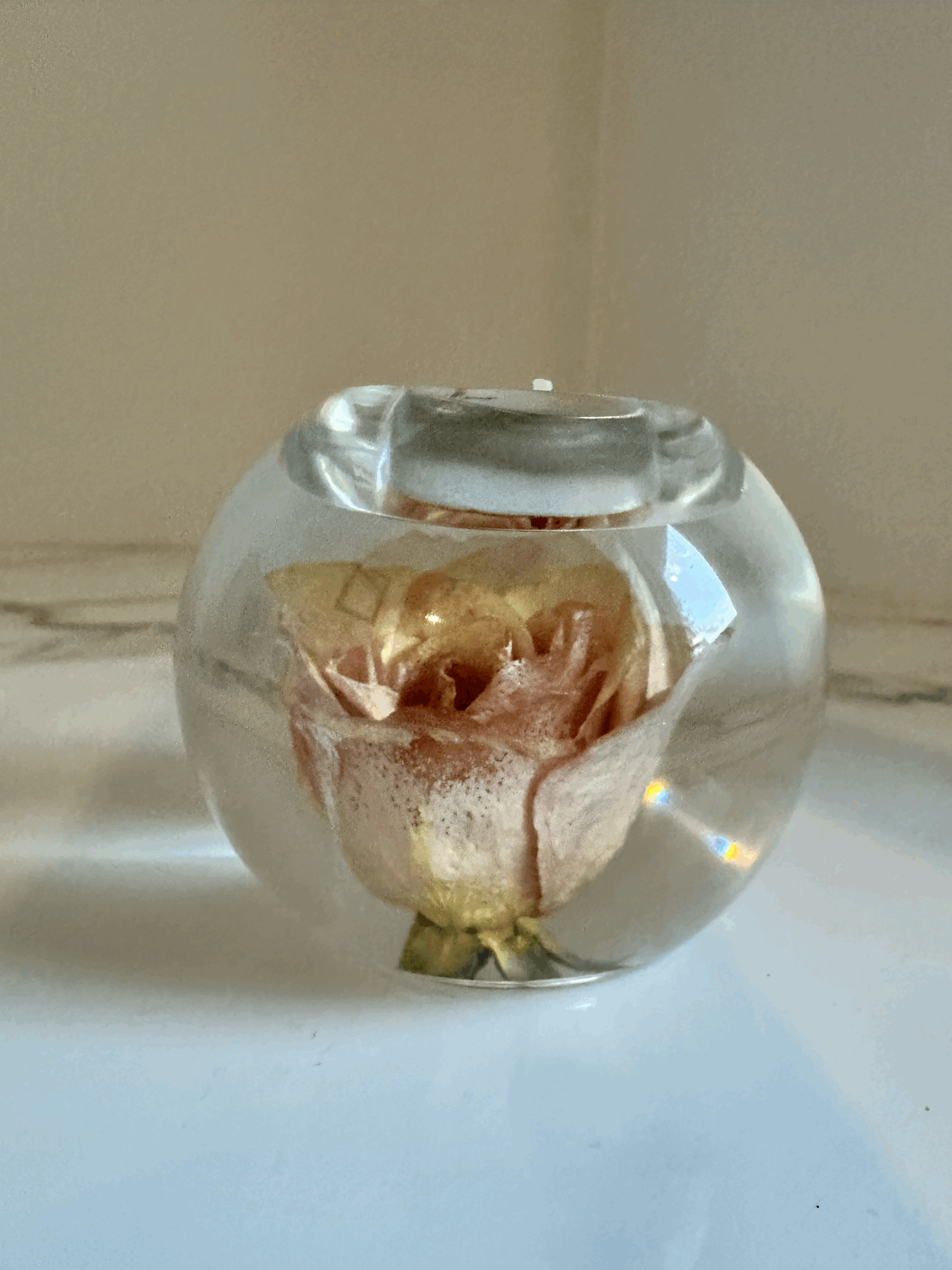 tempImaged8mxcB.gif