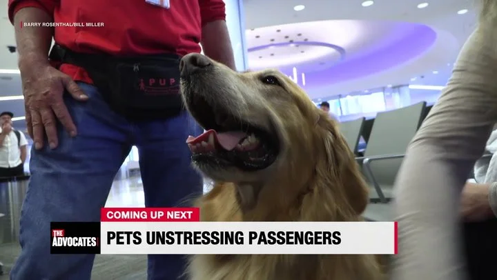 The Advocates with Sonia Baghdady, Episode Eighteen