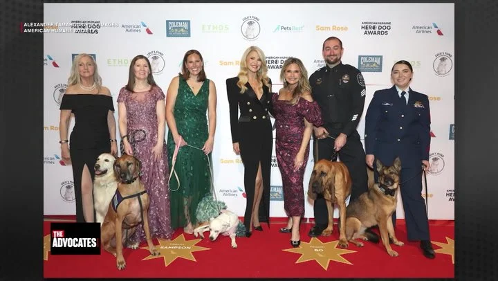 The Advocates with Sonia Baghdady, Episode Two