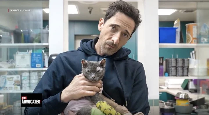 The Advocates with Sonia Baghdady, Episode One