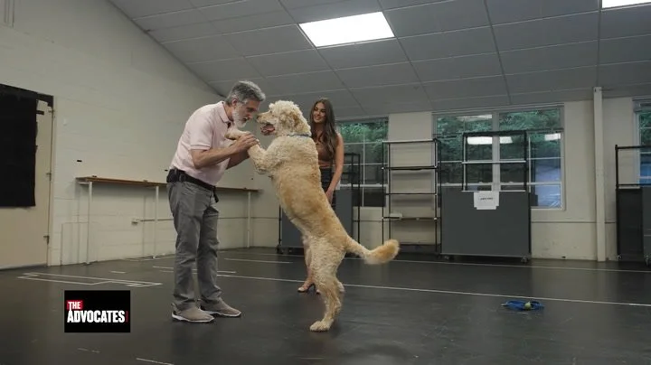 Tony Award-Winner Rescues Dogs &amp; Teaches Them to Be Stars