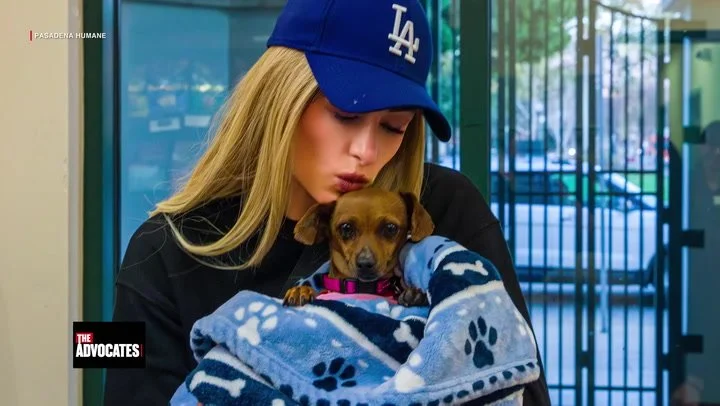 Rescuing Animals After a Wildfire