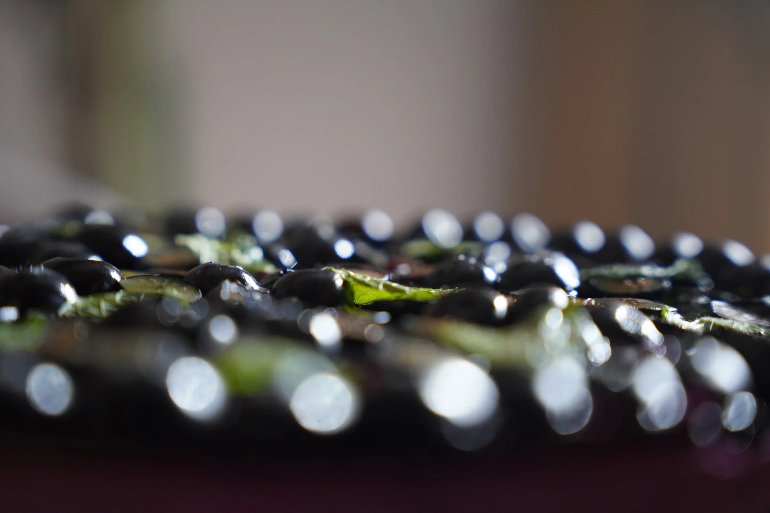 Close-up of shiny blueberries and mint and blurred background.