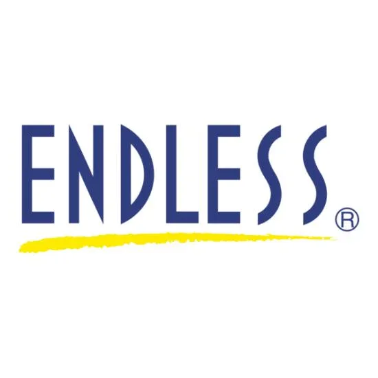 Logo with the word "ENDLESS" in blue letters and a yellow underline.