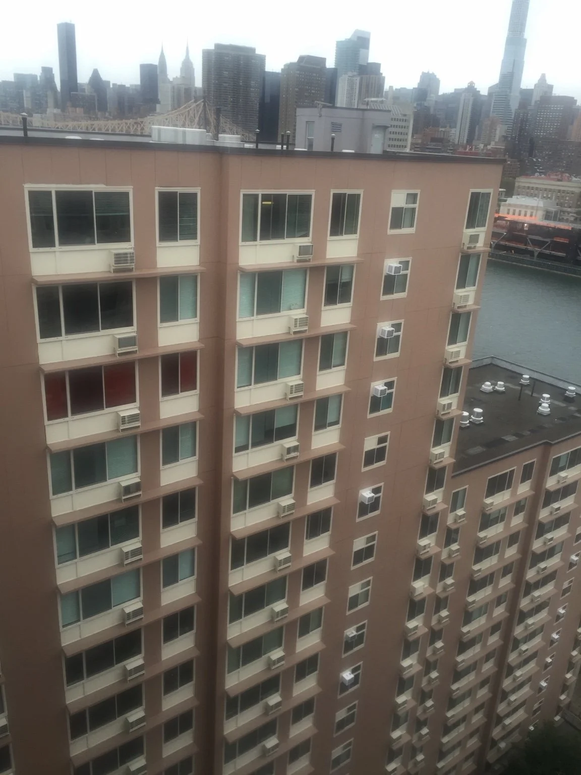 IMG_2762.jpeg