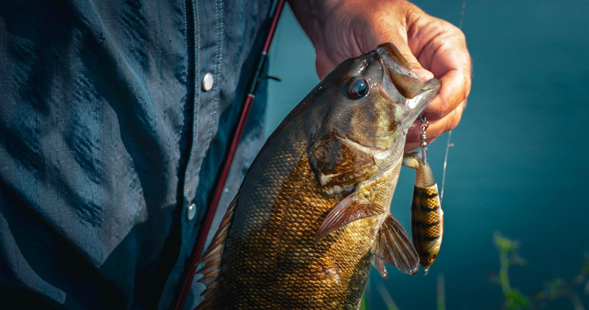 South Dakota Smallmouth Bass