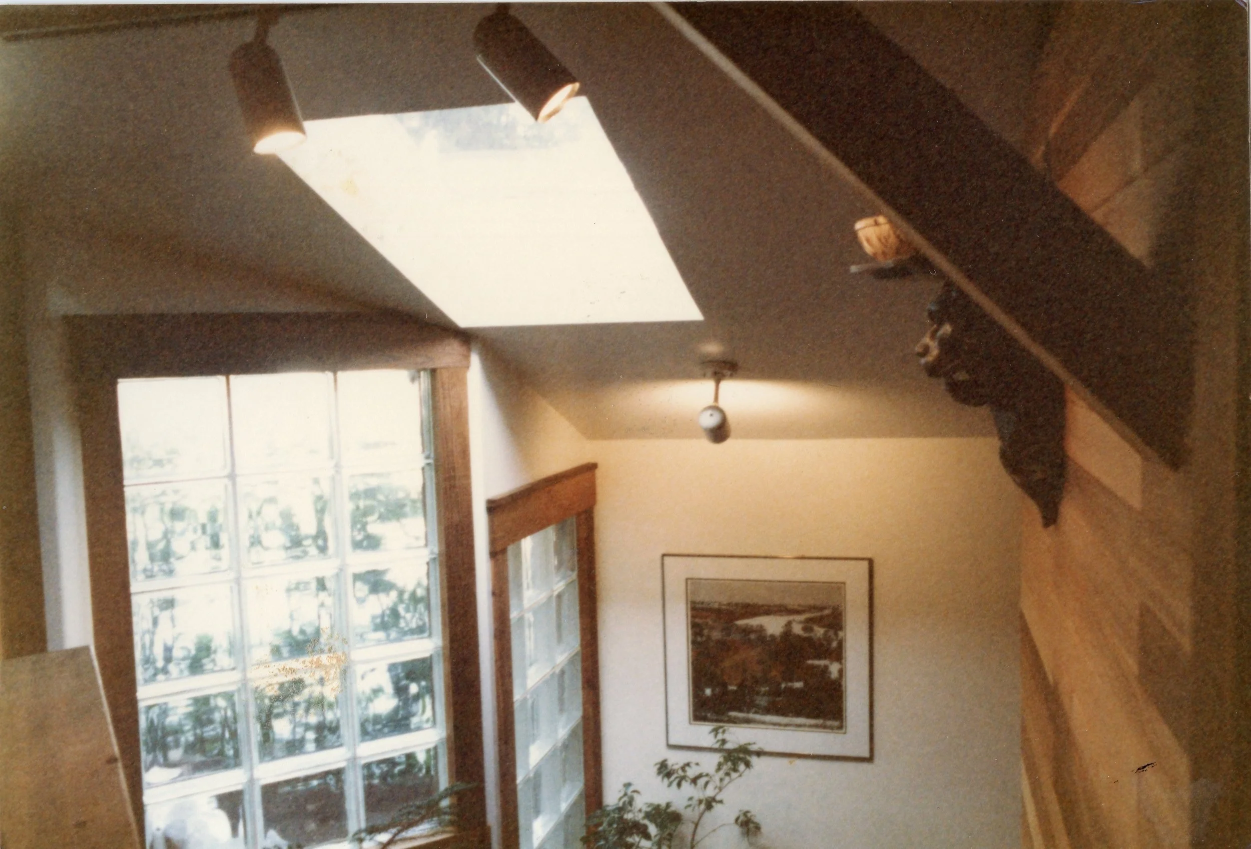 LDPS046.jpg