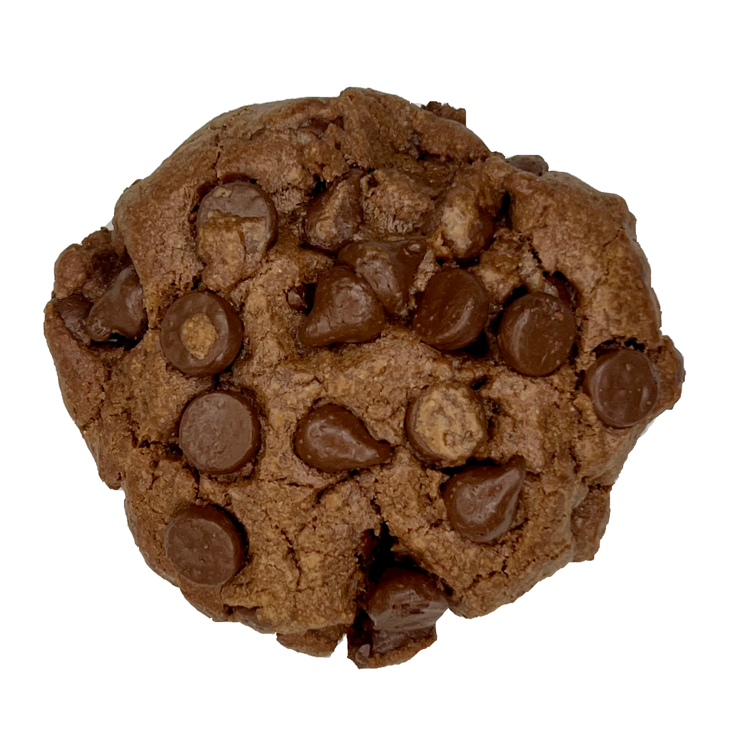 13 - Double-Chocolate-Cookie.png