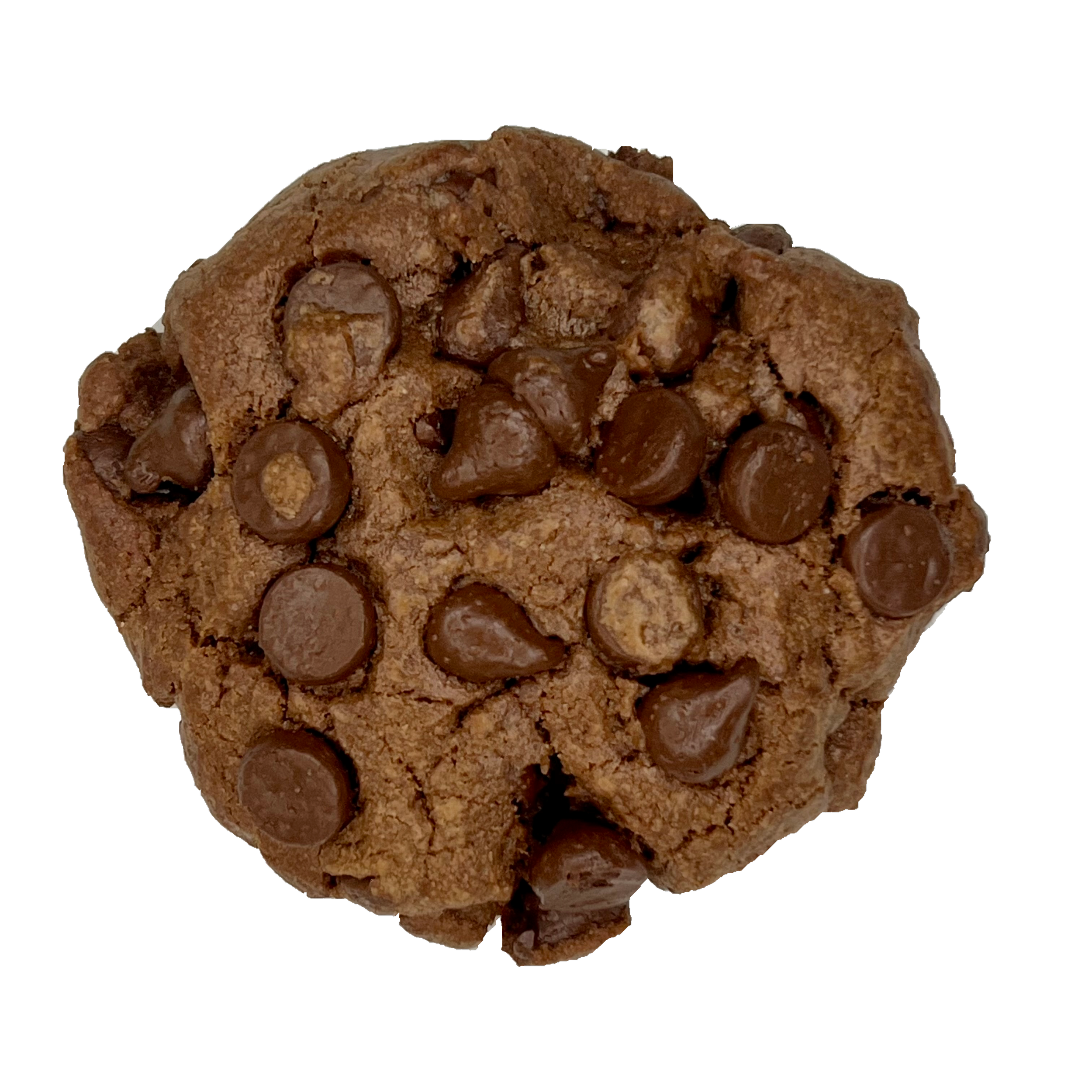 Double Chocolate