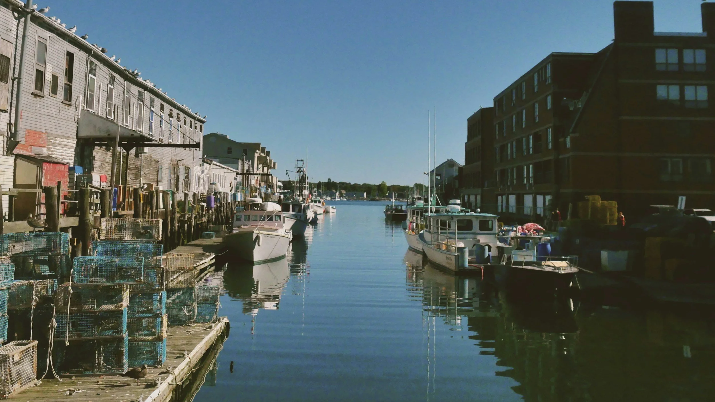 View of a calm marina with boats docked on both sides, wooden houses on the left, and a multi-story building on the right, under a clear blue sky.