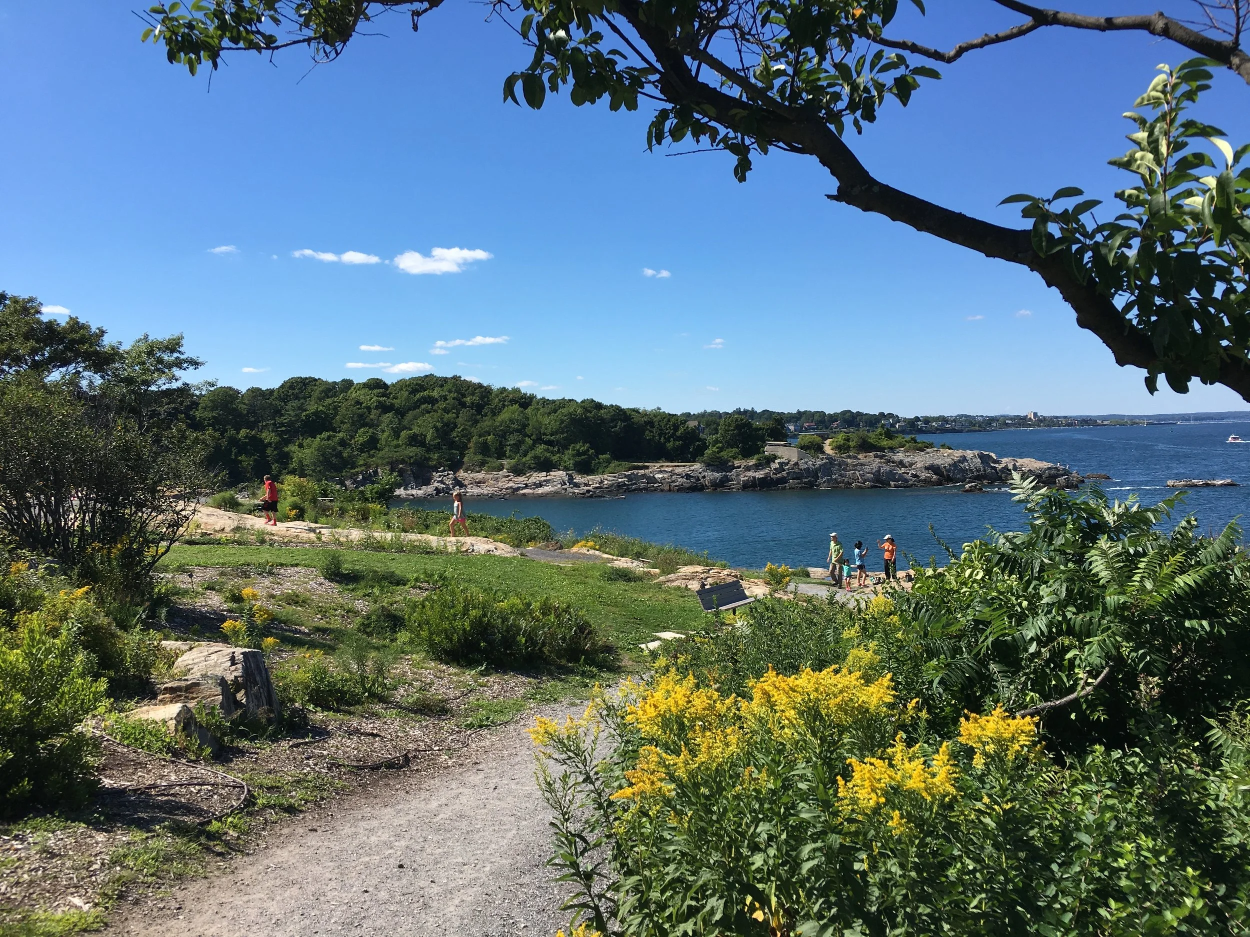 A scenic coastal park with a walking trail, green trees, yellow flowering bushes, and a body of water with boats in the background on a clear sunny day.