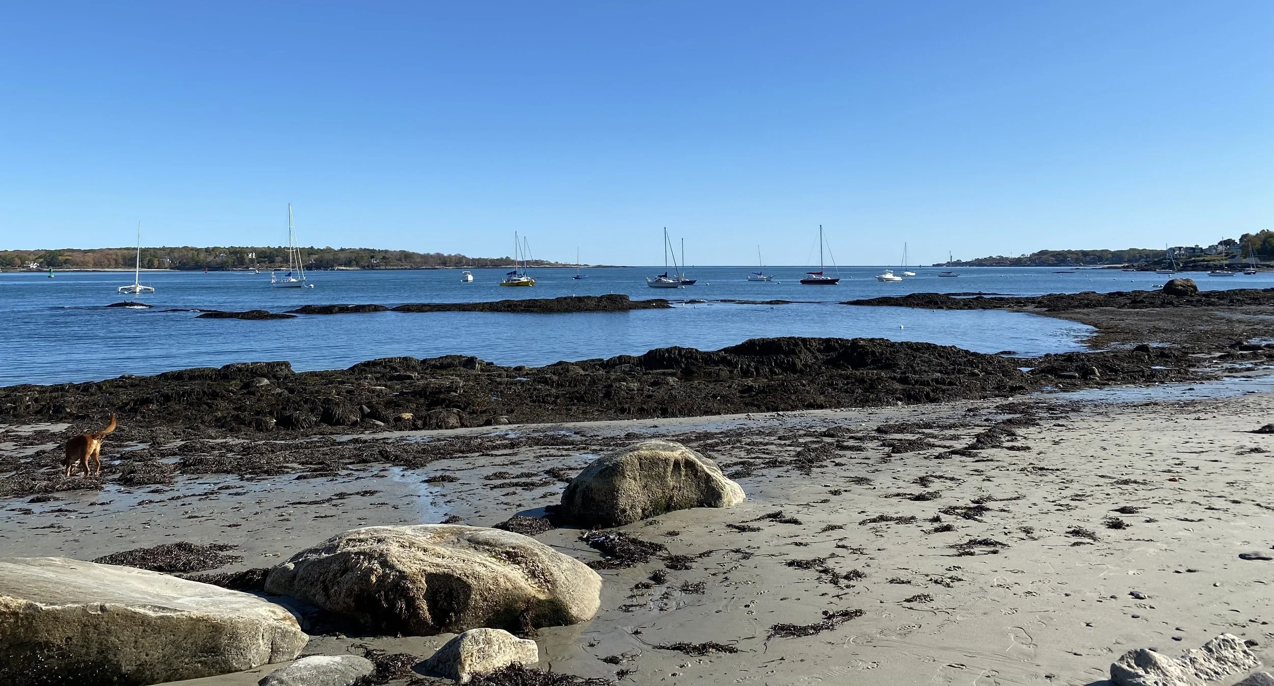A beach scene with rocks and sand in the foreground, calm blue water with several sailboats anchored, and a clear blue sky overhead.