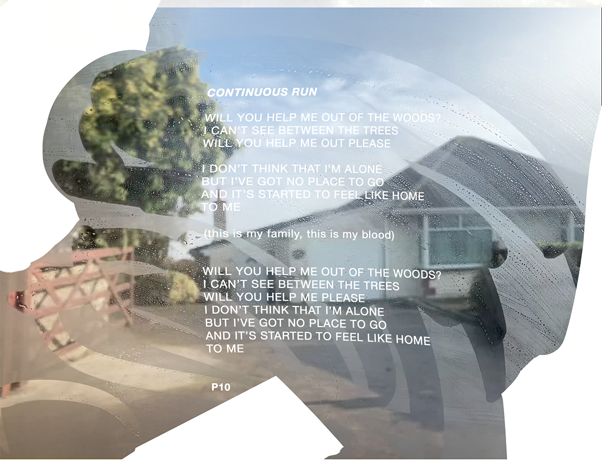 P11.png