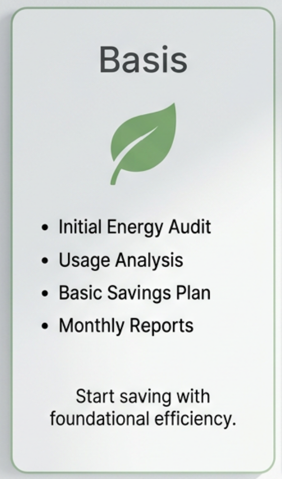 Energi Partner Basis