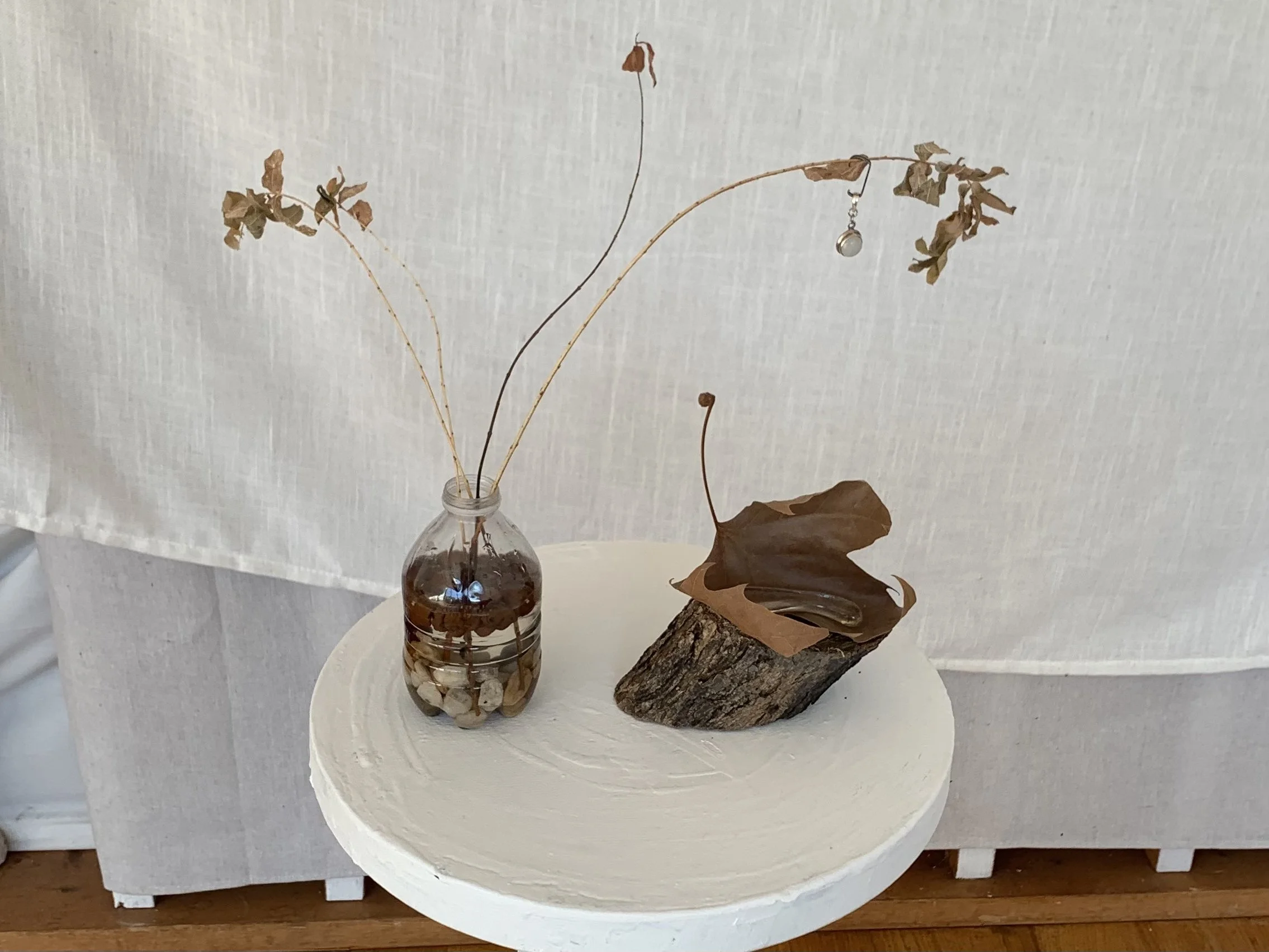 "maybe if i put them side by side something will"
/
plastic bottle, pebbles, leca pellets, tap water, willow fronds, branch cross section, leaf, glass puddle, moonstone pendant
