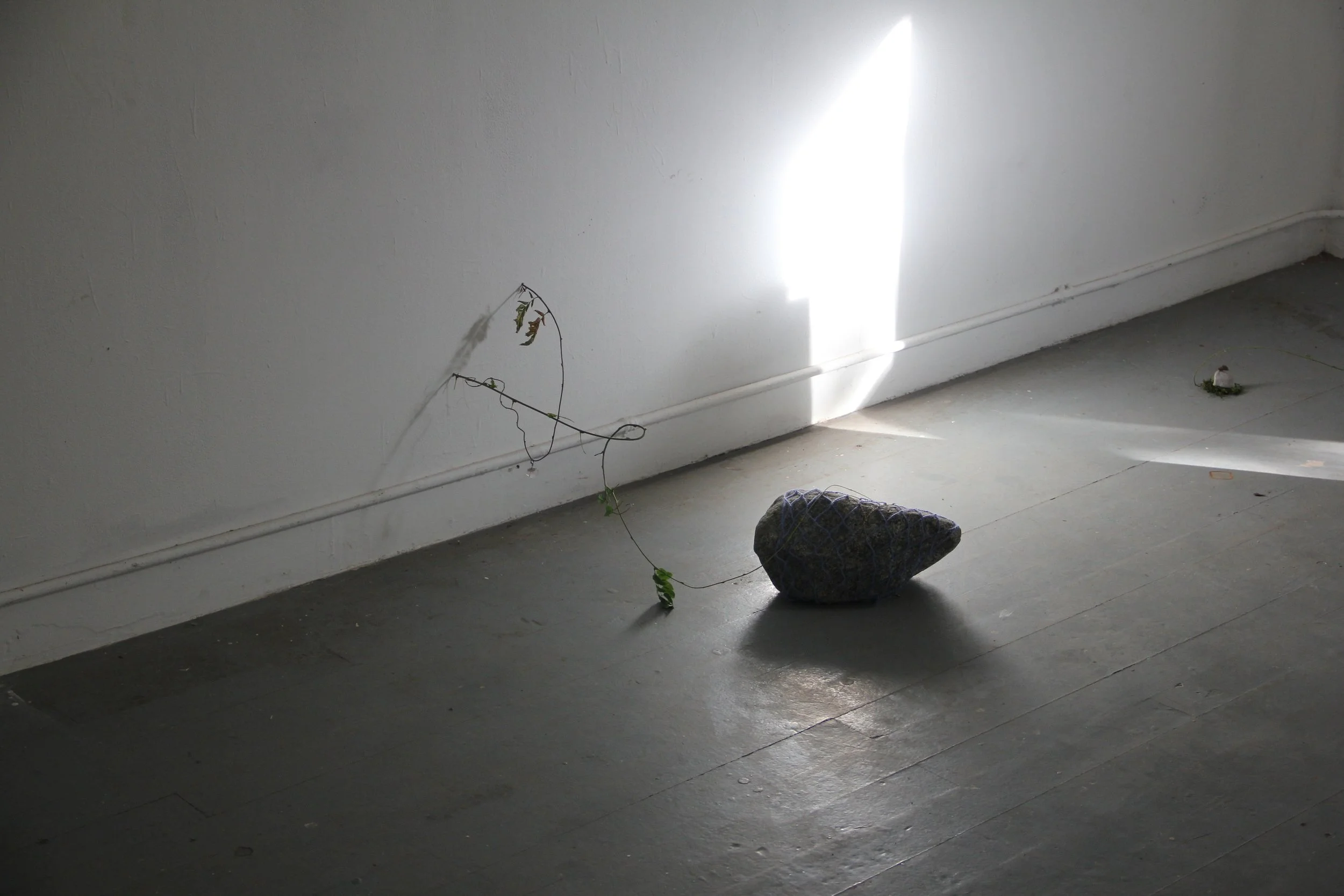 (install view ii)