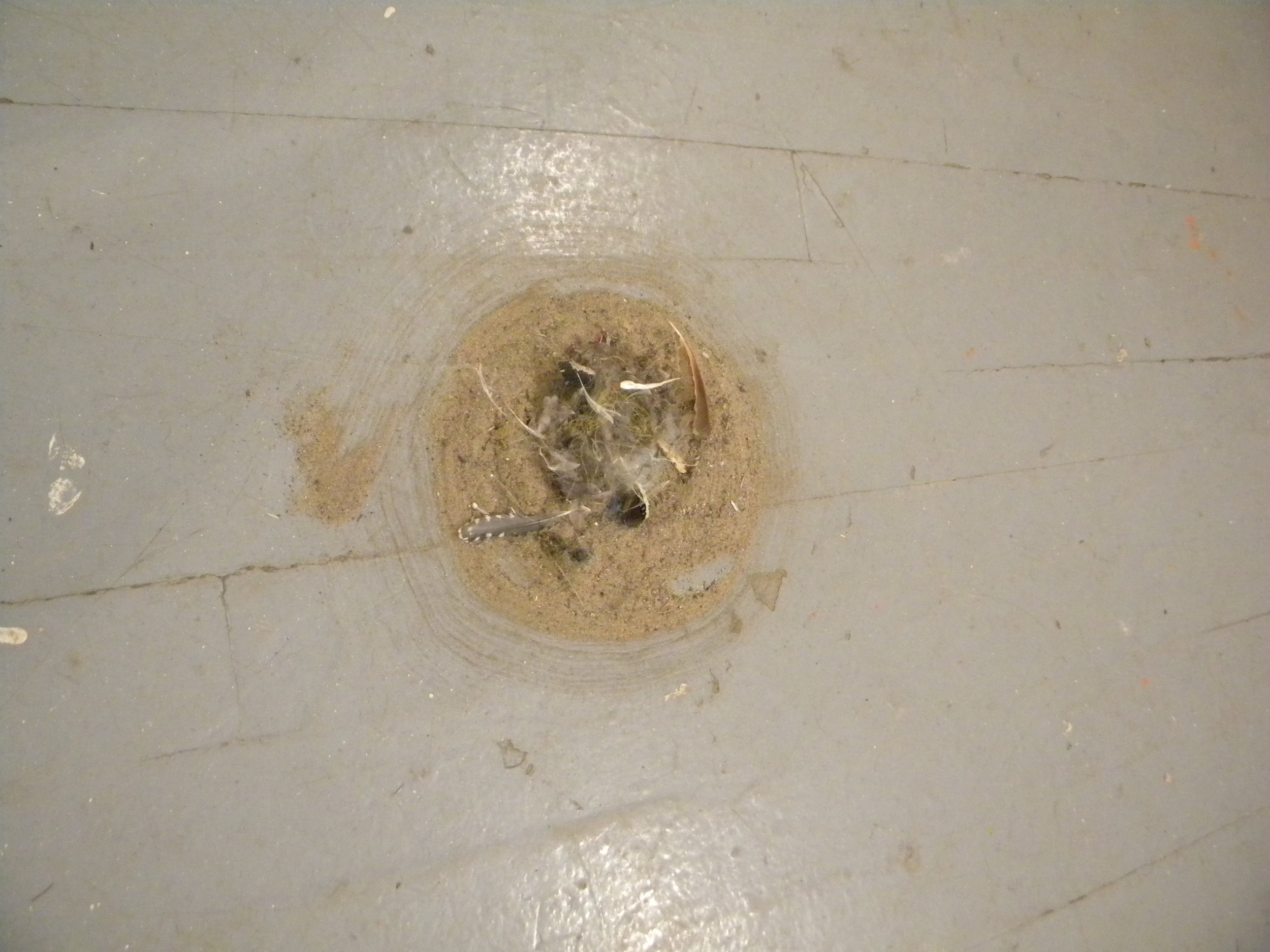 (swept pile detail)